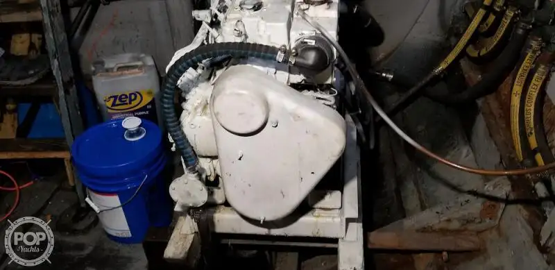 Catamaran te koop