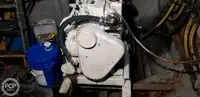 Catamaran te koop