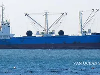 Koelschip te koop