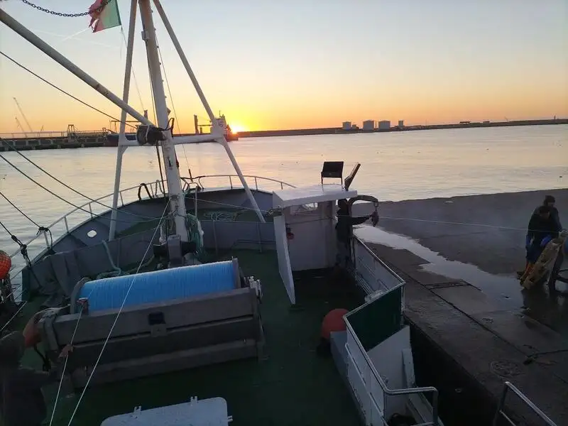 Trawler te koop