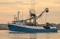 Purse seiner Te koop