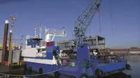 Bulkcarrier te koop