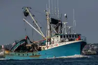 Purse seiner Te koop
