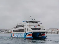 Veerboot te koop