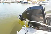 Catamaran te koop