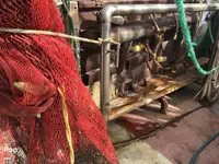 Trawler te koop