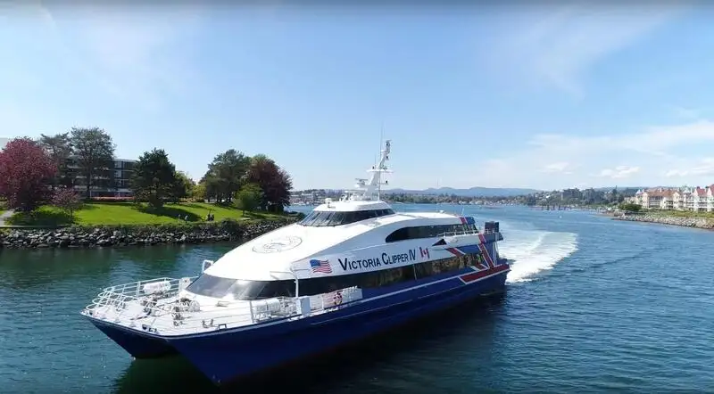 Catamaran te koop