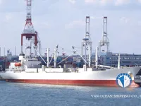 Koelschip te koop