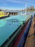Bulkcarrier te koop