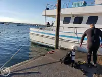 Veerboot te koop