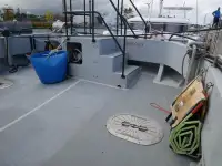 Catamaran te koop