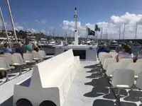 Catamaran te koop