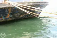 Veerboot te koop