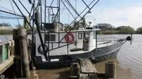 Trawler Te koop