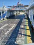 Veerboot te koop