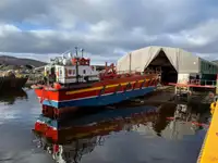 Ro-Ro ship Te koop