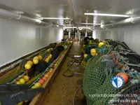 Trawler te koop