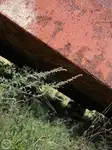 Barge te koop