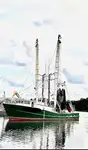 Trawler te koop