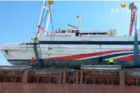 Catamaran te koop