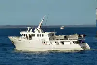 Trawler te koop