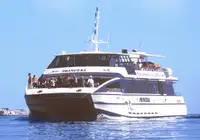 Catamaran te koop