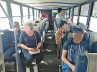 Amfibie te koop