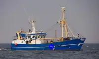 Beam trawler Te koop