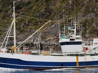 Trawler te koop