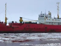 Koelschip te koop