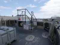 Catamaran te koop