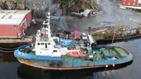 Sleepboot Te koop
