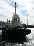 Sleepboot Te koop