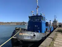 Sleepboot Te koop