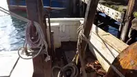 Trawler te koop