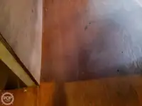 Veerboot te koop