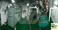 Ponton te koop