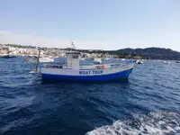 Trawler te koop