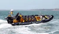 Stijve opblaasbare boot Te koop