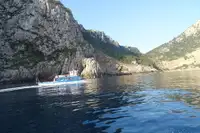 Veerboot Te koop