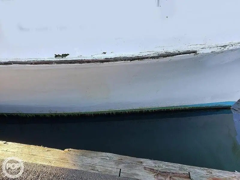 Veerboot te koop