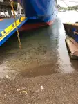 Ro-Ro-schip te koop