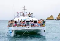 Catamaran te koop