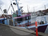 Levend vis transport schip te koop