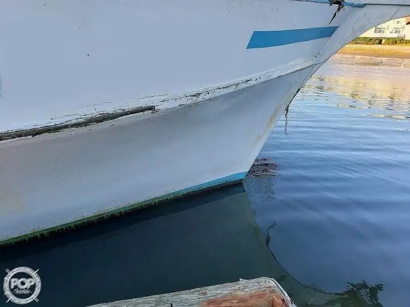 Veerboot te koop