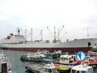 Koelschip te koop