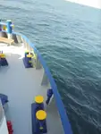 Koelschip te koop
