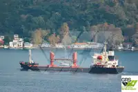 Bulkcarrier te koop