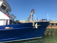 Werkboten te koop