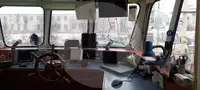 Levende visdrager Te koop